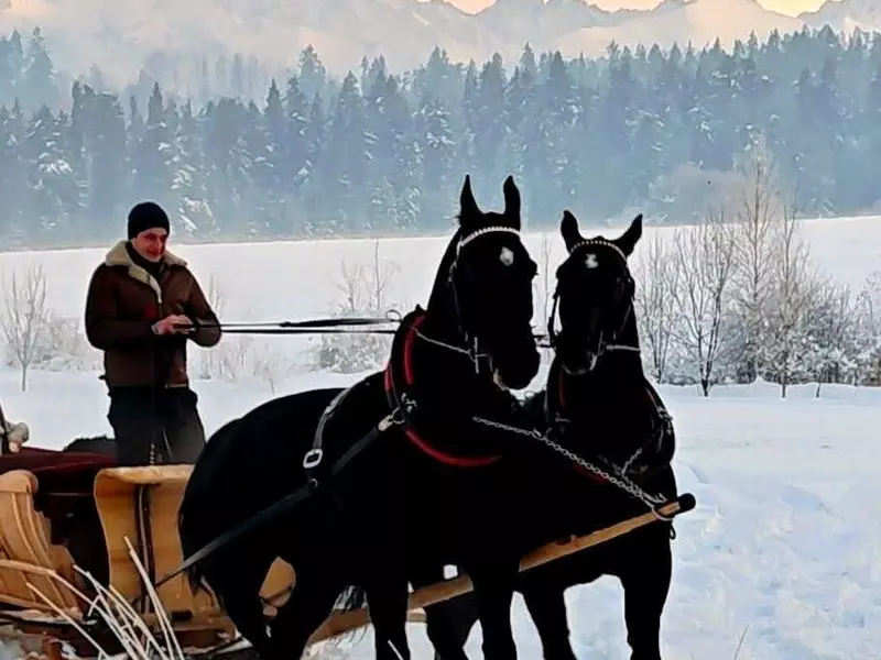 Kulig + ognisko = Idealny pomysł na zimowy wieczór pod Tatrami