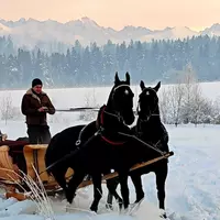 Kulig + ognisko = Idealny pomysł na zimowy wieczór pod Tatrami
