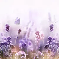 Wakacje 2026, 27.06-31.08.26r.